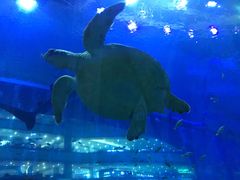 -成都浩海立方海洋公园