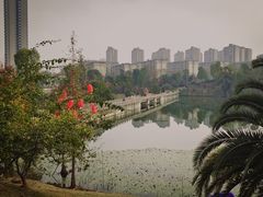 -东岳体育公园
