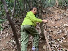 -杭州半山国家森林公园