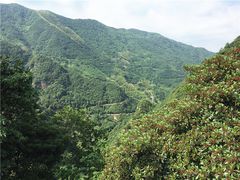 -宁波五龙潭景区