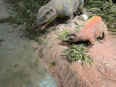 -湖南省地质博物馆