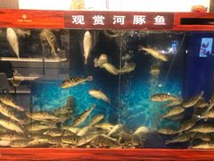 水产区-肆月河豚·新淮扬(金融街店)