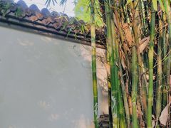 -望江楼公园