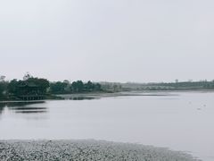 -官亭林海