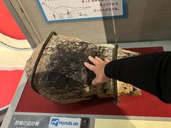 -大阪市立自然史博物馆