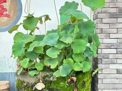 -李东农庄(中南百草园地标店)