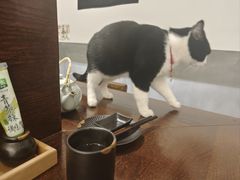 -原田新料理(1912店)