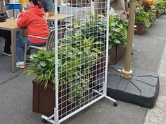 -地二手作鱼汤馄饨(上街里店)