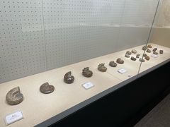 -辽宁古生物博物馆