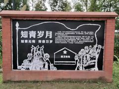 -长兴岛郊野公园农场食堂