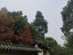 -青城山六善酒店·紫氣園中餐厅