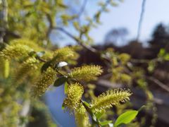 -香山公园-东宫门售票处