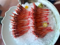 -月龍吟(朝龙汇店)