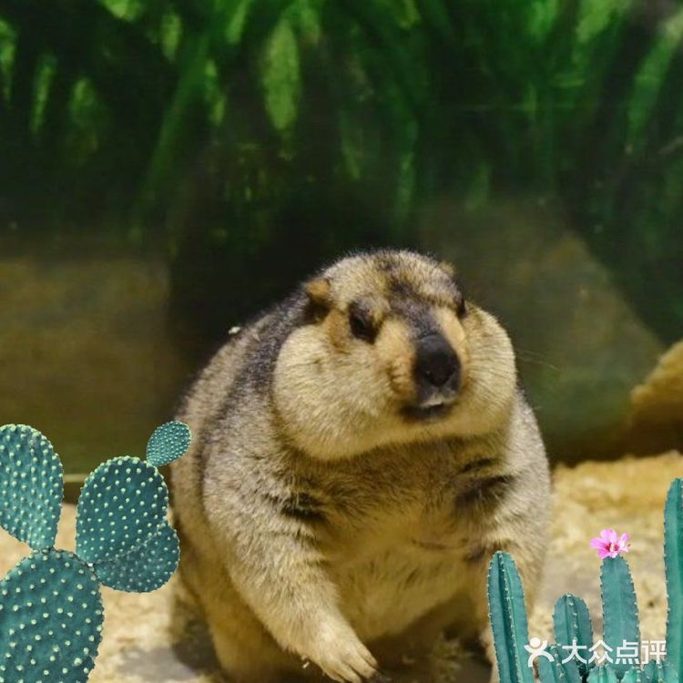 六一带娃去喂小动物吧／团单很优惠哦!