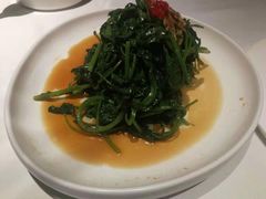 南京菊花脑-民国红公馆·秦淮八艳(夫子庙店)