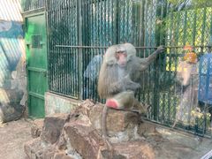 -无锡动物园·太湖欢乐园