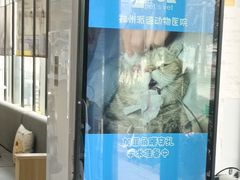 -pd派德宠物中心医院24H急重症·眼科中心·血液透析中心(嵩山北路店)