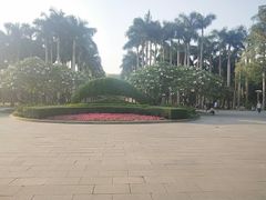 -金花茶公园