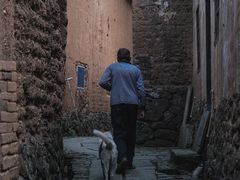 -杨家堂村