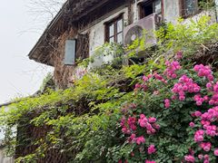 -香积寺