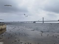 -星海广场