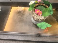 -单家老院·院子里的青岛菜(沙子口店)