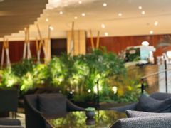-北京望京凯悦酒店The Lounge大堂酒廊