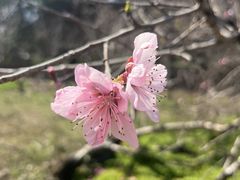 -白塘生态植物园