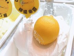 -柠檬车露(卖草地店)