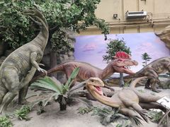 -国家自然博物馆