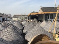 -苏州市吴中区光福窑上花果蜜饯厂