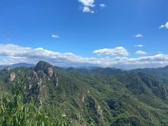 -大岭沟猕猴桃谷风景区
