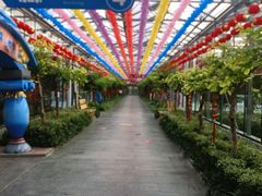 -南宫五洲植物乐园