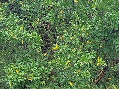 -洛阳市隋唐城遗址植物园