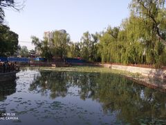 -迎泽公园