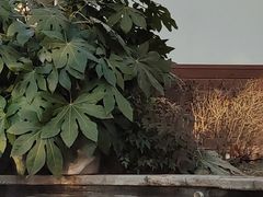 -郑州银基黄帝宫御温泉