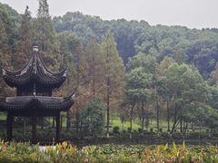 -忠山公园