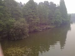 psbCAFTLXXP-东湖落雁景区