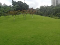 -龙头寺公园