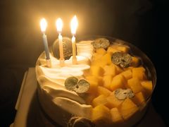 -BRIGNA百丽格娜·纯动物奶油生日蛋糕(浦东店)