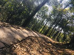 -西湖风景区十里琅珰-五云山