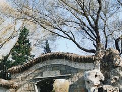 -团结湖公园