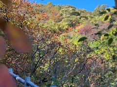 -周口店坡峰岭风景区