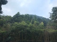 -深圳东部华侨城茵特拉根酒店