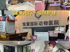 -宠爱国际动物医院·消化内科·心肾内科·ISFM猫友好(望京店)