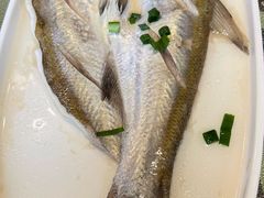 -沈厅酒家(周庄店)