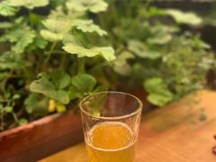 -瓦格纳苹果酒德国风味餐馆