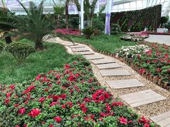-石家庄市植物园