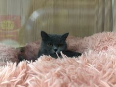 -小小班私人影院·猫咖(万达茂广场店)