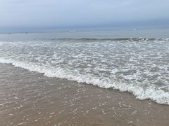 -日照海滨国家森林公园
